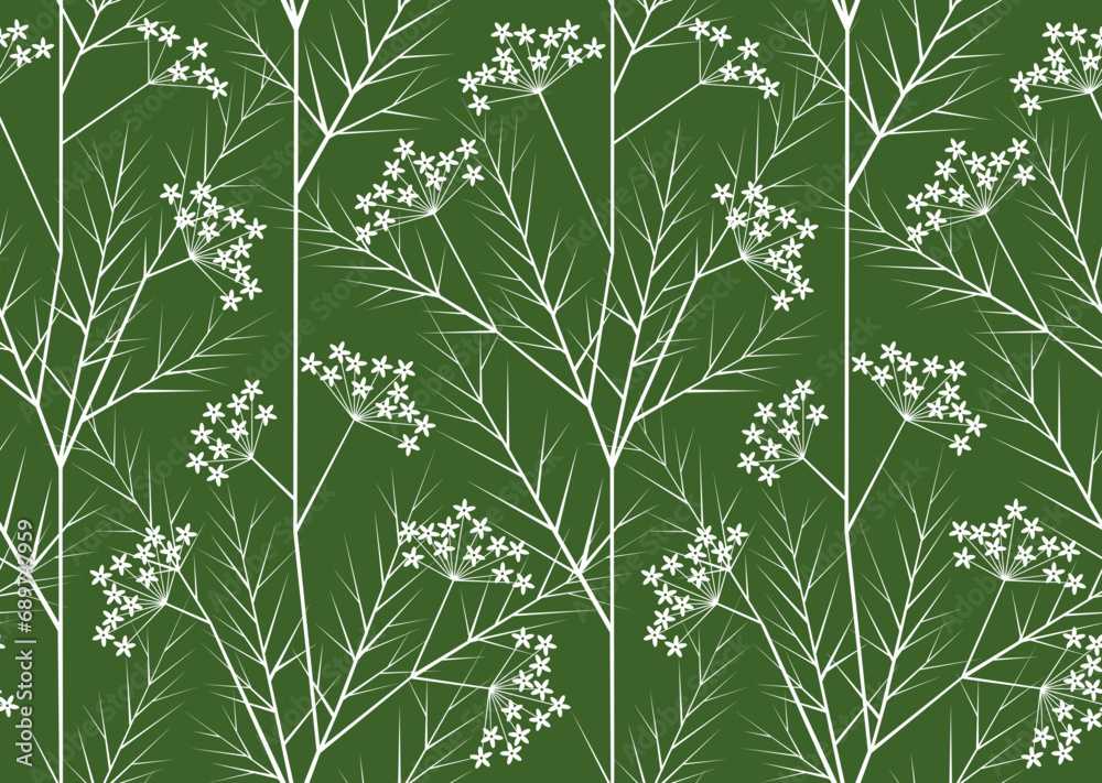 Herb seamless pattern. White inflorescences and stems of Apiaceae herb on green  background
 - obrazy, fototapety, plakaty 