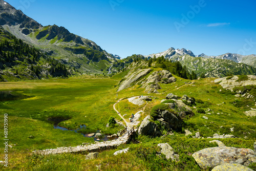 Summer Splendor: Peaks, Ice, Rocks, and Lakes. Alps. Aosta Valley. Italy.