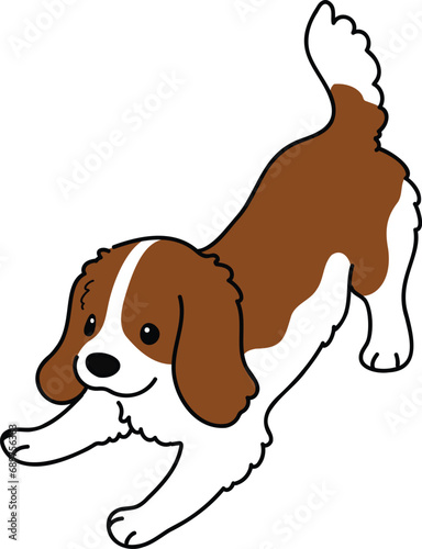 Simple and cute illustration of Cavalier King Charles Spaniel being playful