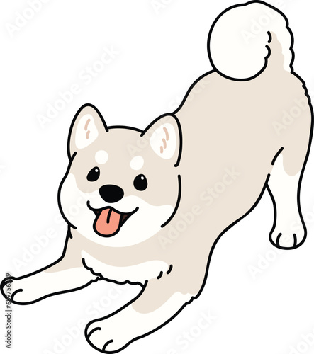 Simple and cute illustration of white Shiba Inu being playful