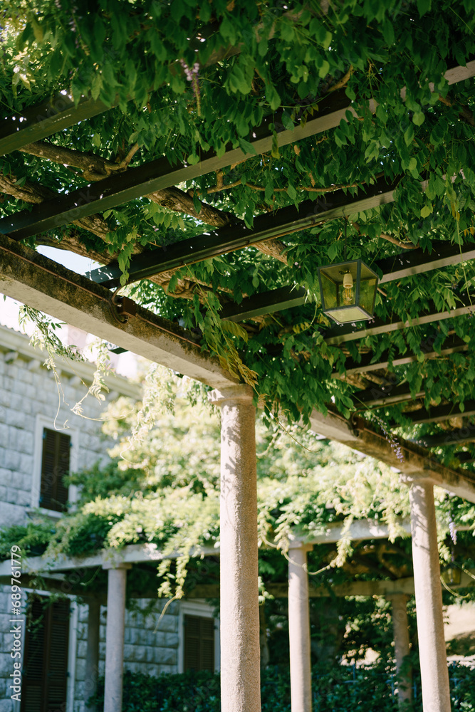 Lamps hang from the wooden beams of a pergola entwined with green branches in the garden