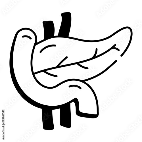 A line style icon showing pancreas