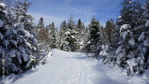 Wanderweg durch verschneiten Winterwald im Nordschwarzwald © turtles2