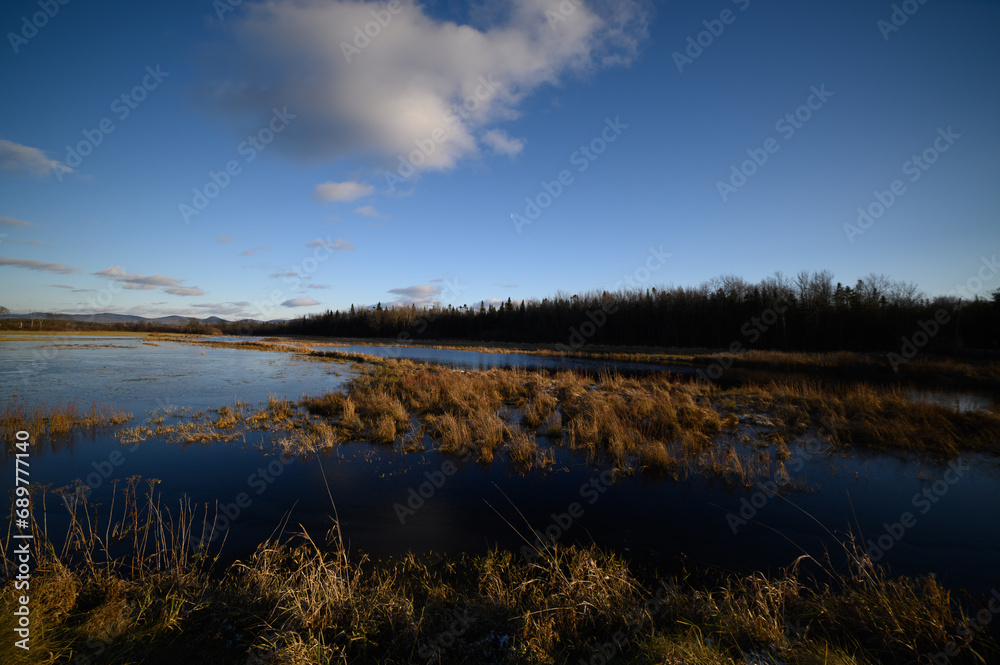 Marsh in fall