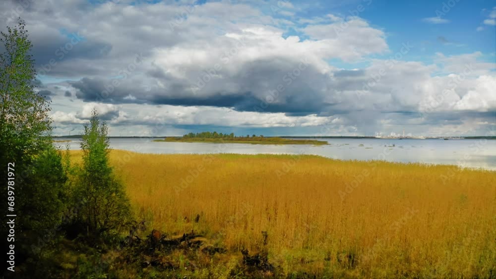 An island in the middle of the reservoir. A sandy spit overgrown with green grass and bushes. Aerial Drone Shot An island in the middle of the reservoir. A sandy spit overgrown with green grass and bushes. Aerial Drone Shot
