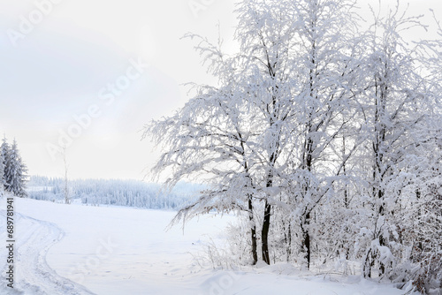 Forest in winter, heavy snow. © agneskantaruk