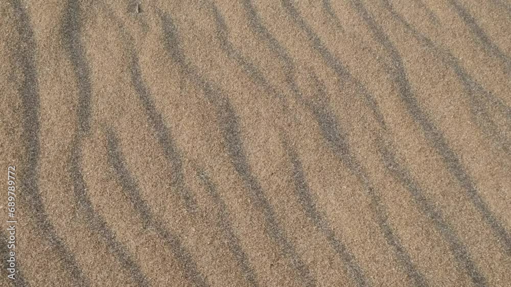 sand on the beach dances above the small dunes, carried by the powerful wind during stormy weather, close-up view of nature's dynamic forces. sand on the beach dances above the small dunes, carried by the powerful wind during stormy weather, close-up view of nature's dynamic forces.