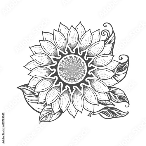 Sunflower handrawing vector design black and white photo