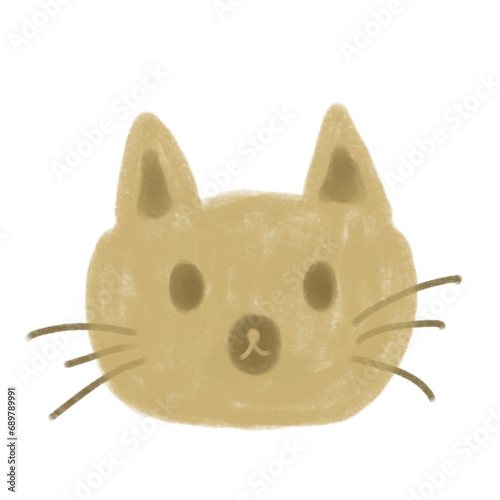 Cat, brown cat, cute, animal