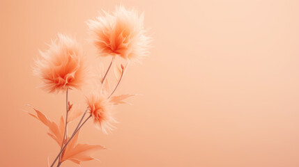 Wandcirkels Pantone 2024 Peach Fuzz Zachte bloemblaadjes in perziktinten  © Valeriia