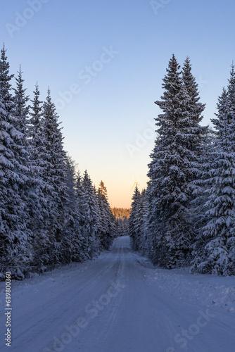 Ski center outside the town of Ludvika in Sweden, where you can go cross-country skiing © Wirestock