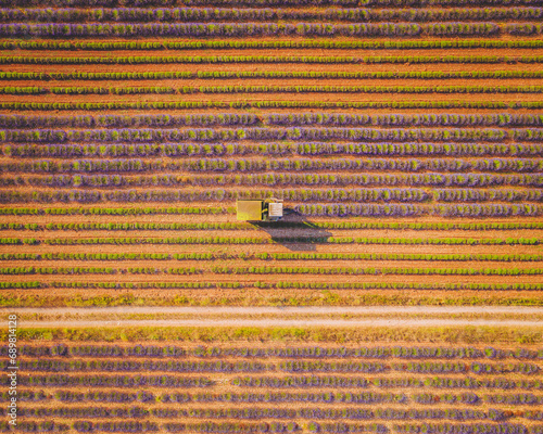 Aerial view of a Lavender Harvest near Moustiers Saintes Maries, Provence, France. photo