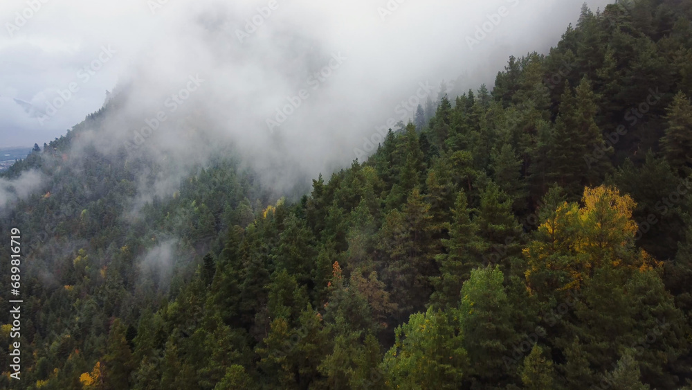 flying over the forest in the mountains with floating fog flying over the forest in the mountains with floating fog