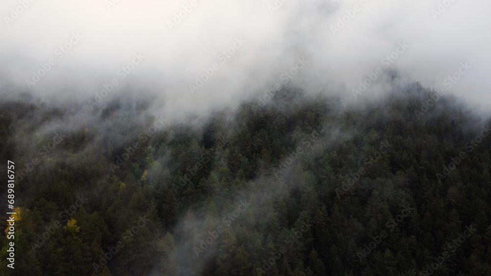 flying over the forest in the mountains with floating fog