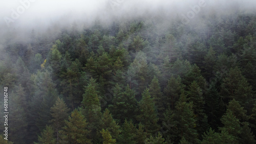 flying over the forest in the mountains with floating fog