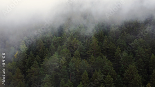 flying over the forest in the mountains with floating fog