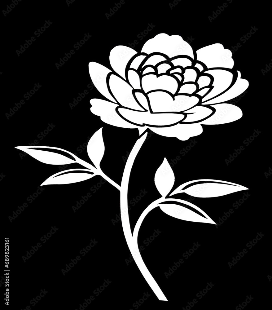 Peony flower isolated on black background. Peony flower isolated on black background.