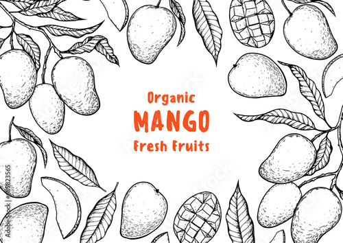 Ripe mango sketch. Hand drawn vector illustration. Tropical fruit. Packaging design, menu design, juice packaging. Mango frame.