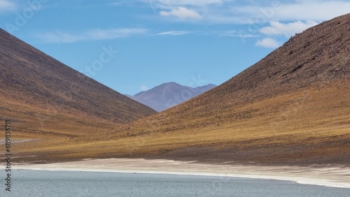 landscape with lake