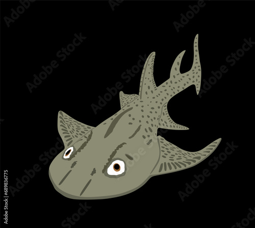 Angel shark vector illustration isolated on black. Dangers of shark on the beach. The biggest fear for divers and swimmers. Under water alert for diving and swimming. Squatina squatina.