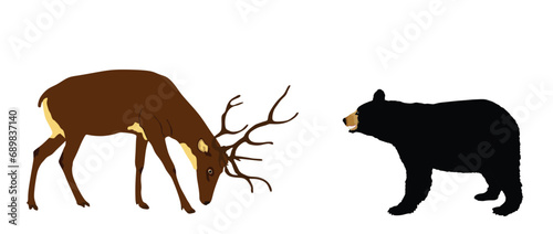 Rain deer against American black bear vector illustration isolated on white background. Battle for life and food stag against bear. Deer elk buck. Powerful huge antlers deer vs predator in forest.