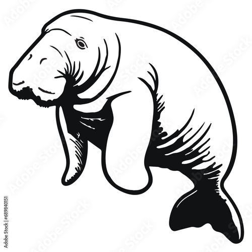 Manatee silhouettes and icons. Black flat color simple elegant white background Manatee animal vector and illustration.