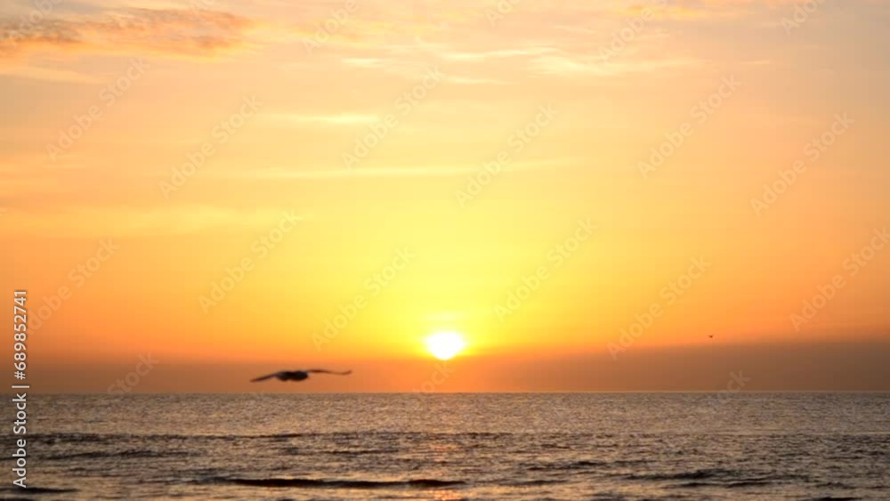 Dawn sunset on the sea. Sunrise Dawning at sea. The sun's disk above the horizon. Black silhouettes of flying birds seagulls Dawn sunset on the sea. Sunrise Dawning at sea. The sun's disk above the horizon. Black silhouettes of flying birds seagulls