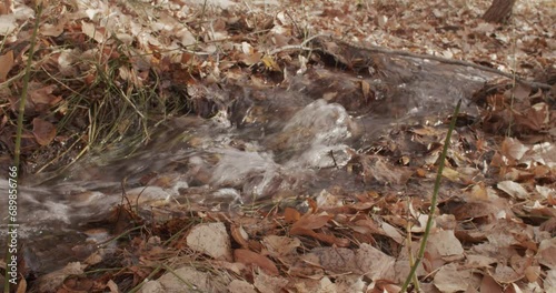 Running stream in the forest in autumn