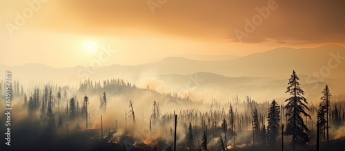 British Columbia's wildfire: Dense forests consumed, smoke creates a haunting reminder of nature's might.