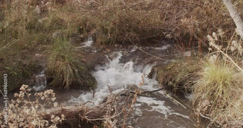 Running stream in the forest in autumn