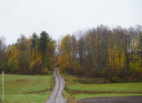 A small road on a field