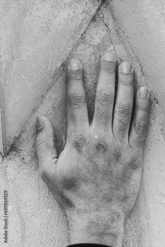 A palm placed on a wall
