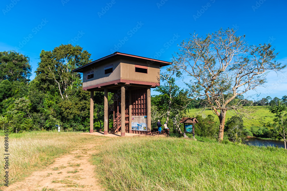 View from Nong Pak Chi observation tower, Khao Yai National Park. View from Nong Pak Chi observation tower, Khao Yai National Park.