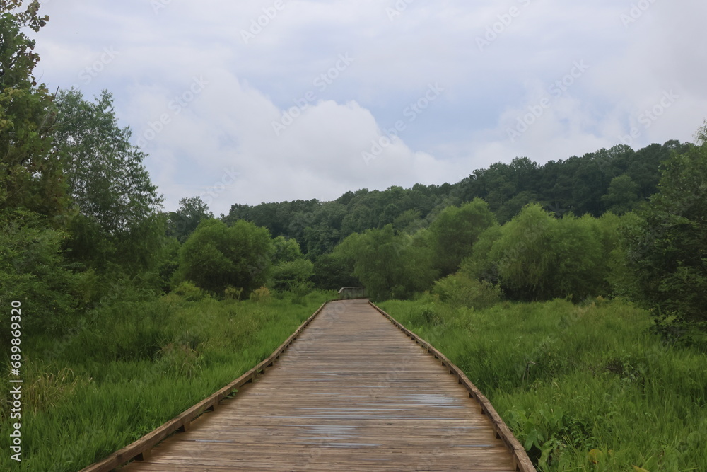 Obraz premium walking path above marsh