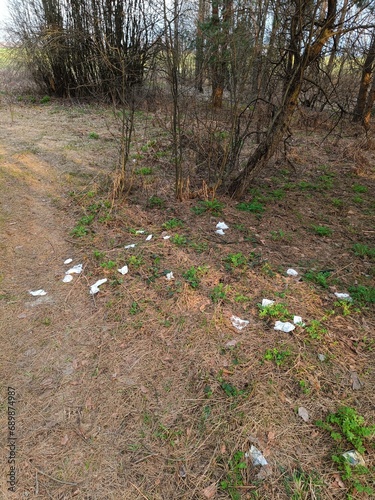 Garbage left after an intimate outdoor recreation. Wet sanitary napkins scattered in nature. Pollution of the environment with slowly decomposing garbage.