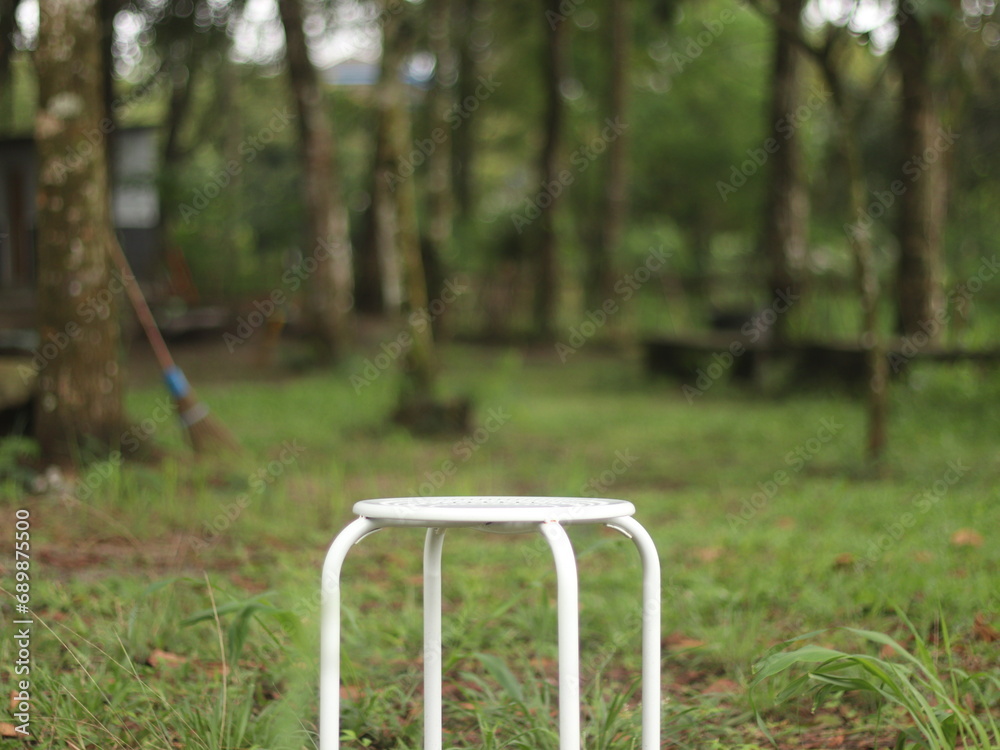 White garden chairs in the middle of the forest with grass White garden chairs in the middle of the forest with grass