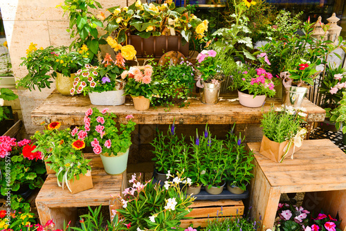 Pots with beautiful flowers on street market photo