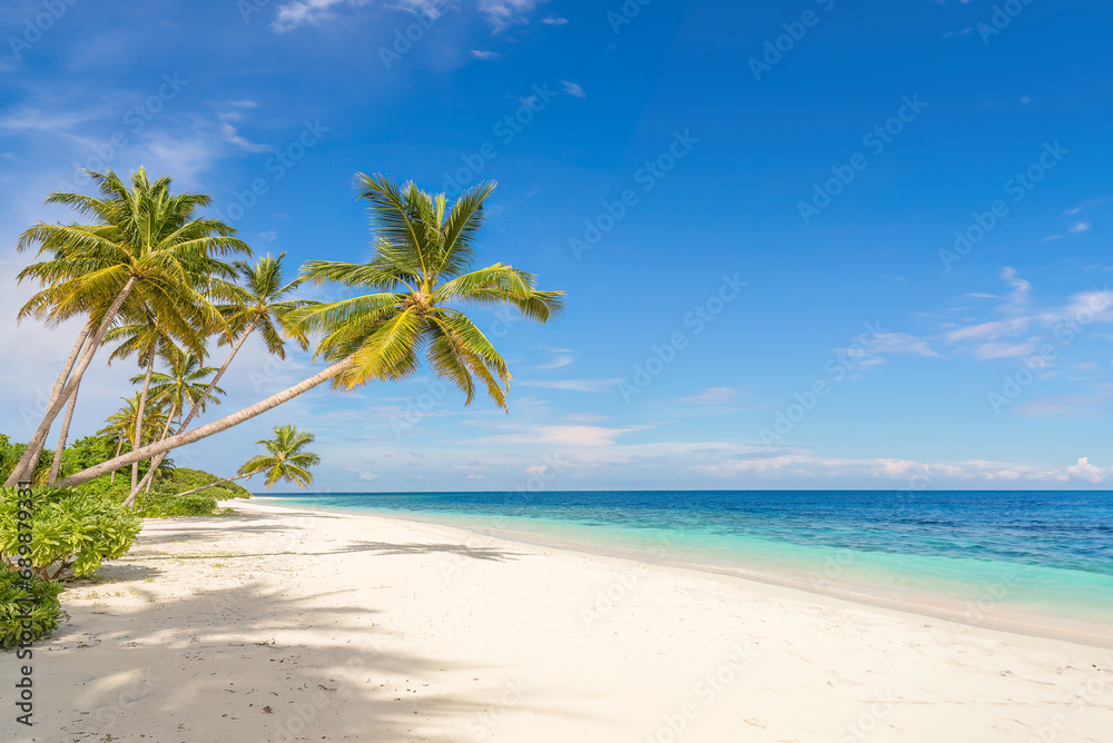 Coconut palms on Tangalle Beach, Sri Lanka