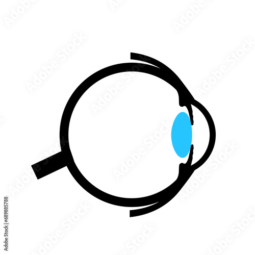 Eye anatomy poster
