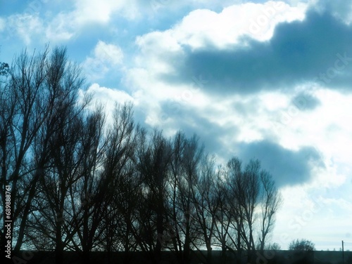 Landschaft Panorama mit Reihe hoher Bäume auf Feld vor blauem Himmel mit weißem Wolkengebilde Regen a Nachmittag im Winter
