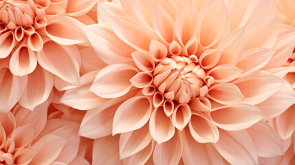 Crédence de cuisine Pantone 2024 Peach Fuzz A close up of a bunch of pink flowers, peach fuzz, color of the year 2024, monochromatic image  © Friedbert