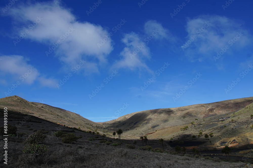 Valley of the thousand palm trees, Haria, November 2023, sony a6000, palm tree, volcanic island, canary islands, spain, trekking from Maguez to Haria