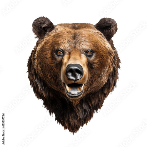Wall mounted, taxidermy, stuffed brown bear head isolated on transparent background 