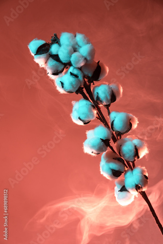 Fleur de coton