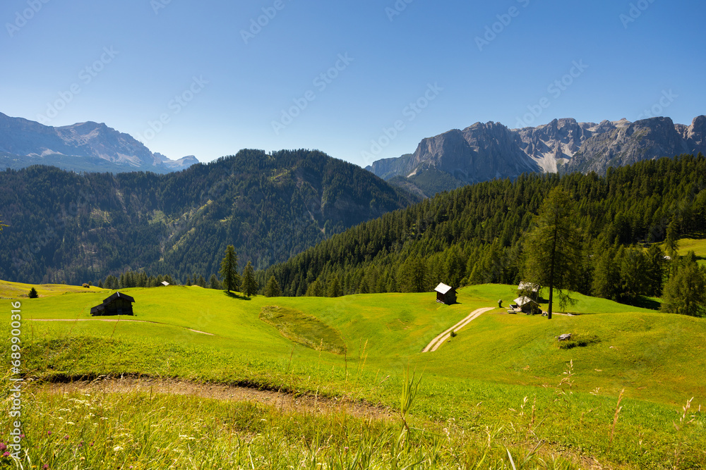 Breathtaking view of green alpine meadows and forests on slopes of Dolomites with impressive rocky peaks on sunny summer day, Italy..