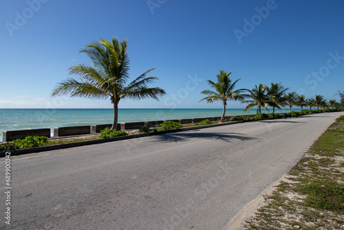 palm tree lined road beside the ocean