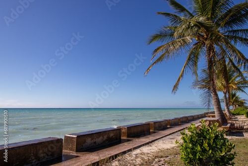 Palm trees along a breakwall at an ocean park