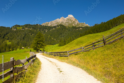 Tranquil trail with wooden railings leading through lush green alpine meadow and forest to foot of towering rugged rocky peaks of Dolomites on sunny summer day..