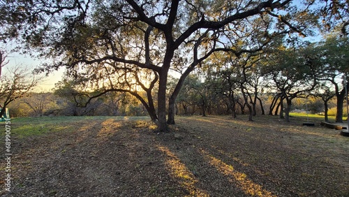 Nature sunset photo