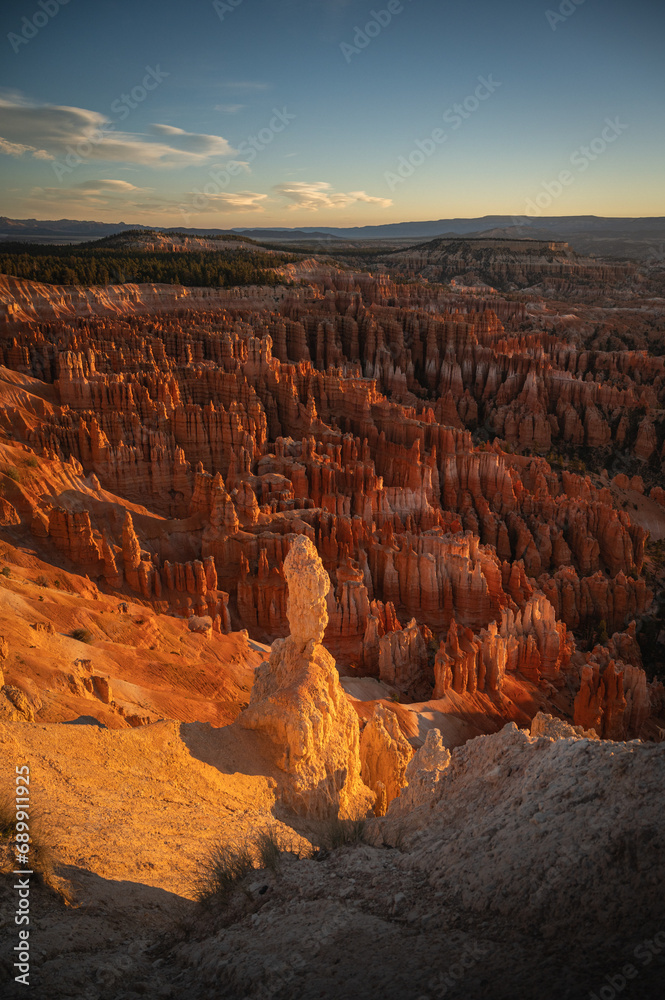 Scenic view of the red sandstone formations and trees at Bryce Point, Utah.